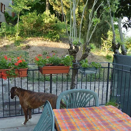 Dacia Holiday home *